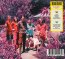 Butterfly 3000 - King Gizzard & The Lizard Wizard - bigger Butterfly 3000 - King Gizzard & The Lizard Wizard