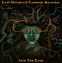 Into The Core - Luca