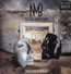 Innocence & Danger - Neal Morse  -Band-