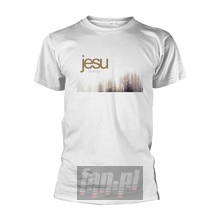 Terminus _TS80334_ - Jesu
