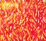 Fire - Bug