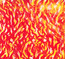 Fire - Bug