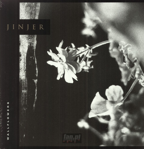 Wallflowers - Jinjer