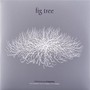 Fig Tree - Marcin Kaletka Przemysaw Strczek 
