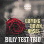 Coming Down Roses - Billy Test Trio