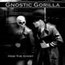 Hide The Ghost - Gnostic Gorilla