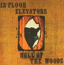Bull Of The Woods - 13TH Floor Elevators