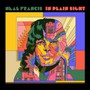 In Plain Sight - Neal Francis