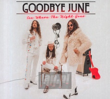 See Where The Night Goes - Goodbye June