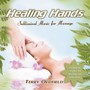 Healing Hands - Terry Oldfield
