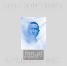 A Pillar Of Salt - Noah Gundersen