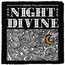 Night Divine - Brian Fallon