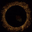 Death, Madness, Horror, Decay - Lurking Fear Death, Madness, Horror, Decay - Lurking Fear