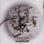 Imaginary - Miyavi