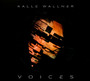 Voices - Kalle Wallner