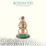 If Only For A Moment - 3CD Digipack Edition - Blossom Toes