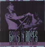Deer Creek 1991 - Guns n' Roses