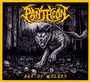 Age Of Wolves - Pantheon