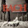 Flute Sonatas - J Bach .S.  /  Mertin  /  Leonhardt