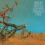 Crooked Tree - Molly Tuttle  & Golden Highway