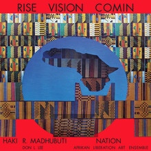 Rise Vision Comin - Haki R Madhubuti .