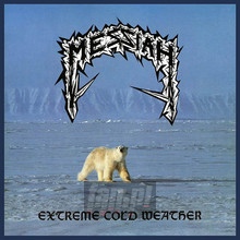 Extreme Cold Weather - Messiah