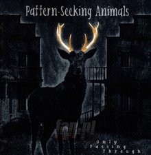 Only Passing Through - Pattern-Seeking Animals