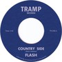 Country Side - Flash