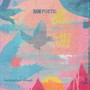 Laminated Skies - Raw Poetic & Damu The Fudgemunk