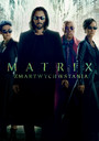 Matrix Zmartwychwstania - Movie / Film
