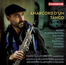 Amarcord D'un Tango - Amarcord D'un Tango  /  Various