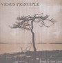 Stand In Your Light - Venus Principle