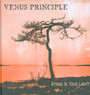 Stand In Your Light - Venus Principle