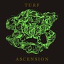 Turf Ascension - Bubblemath