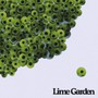 Clockwork / Marbles - Lime Garden