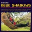 Blue Shadows - B.B. King