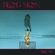 Blood Moon - Ry X