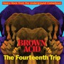 Brown Acid: The 14TH Trip - V/A