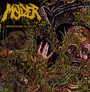 Engrossed In Decay - Molder