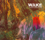 Thought Form Descent - Wake