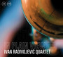 In Plain View - Ivan Radivojevic Quartet