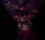 Fierce - Hante