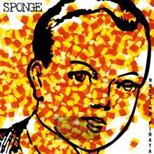 Rotting Pinata - Sponge