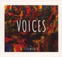 Voices - Piotr Wojtasik