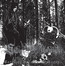Carelian Satanist Madness - Satanic Warmaster