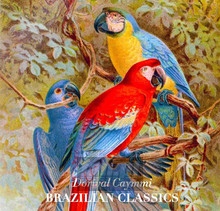 Brazilian Classics - Dorival Caymmi - bigger Brazilian Classics - Dorival Caymmi