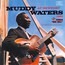 At Newport 1960 + Sings Big Bill - Muddy Waters