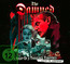 A Night Of A Thousand Vampires - The Damned