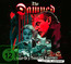 A Night Of A Thousand Vampires - The Damned A Night Of A Thousand Vampires - The Damned