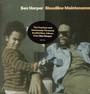 Bloodline Maintenance - Ben Harper